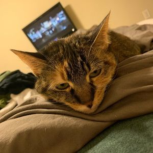 Meet your Posher, Jason